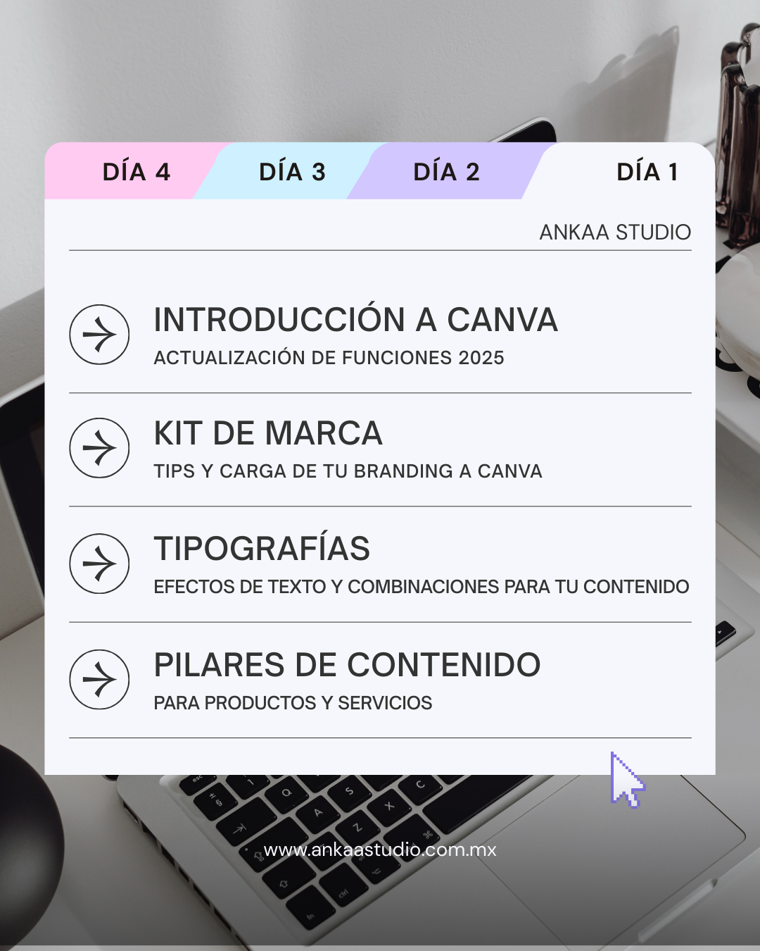 Curso de CANVA para emprendedores