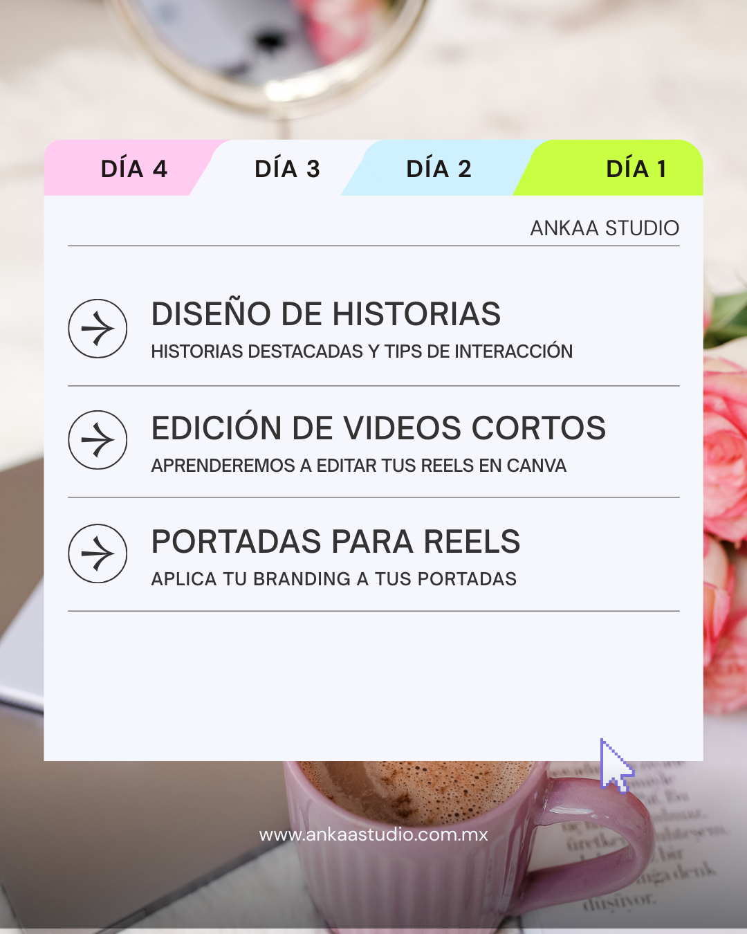 Curso de CANVA para emprendedores