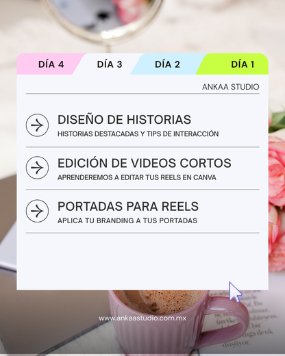 Curso de CANVA para emprendedores