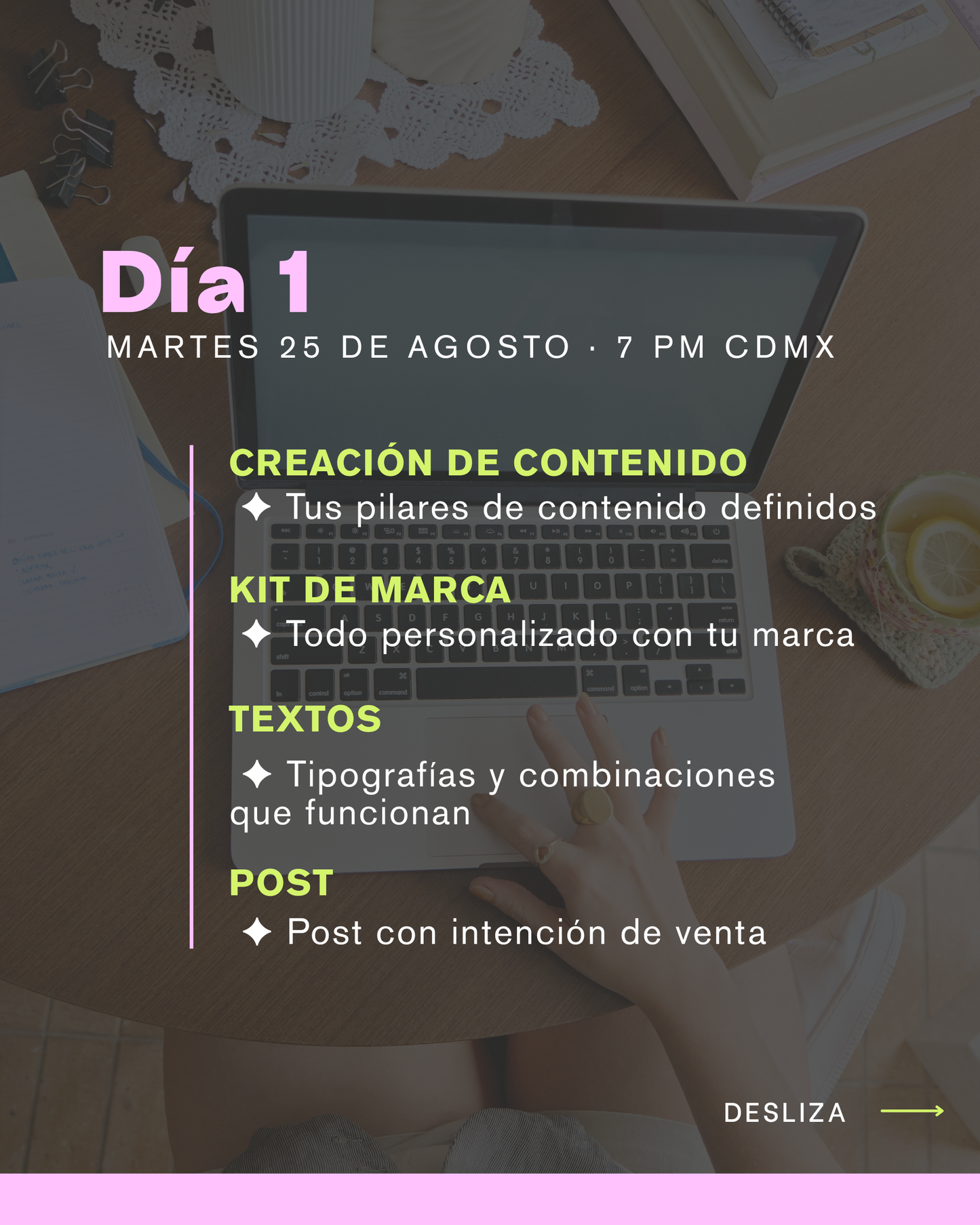 Bootcamp de Canva Agosto