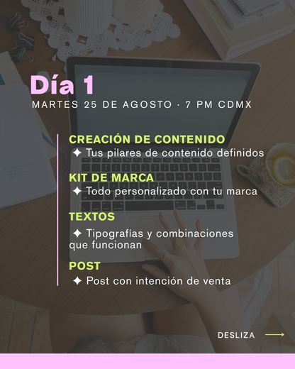 Bootcamp de Canva Agosto
