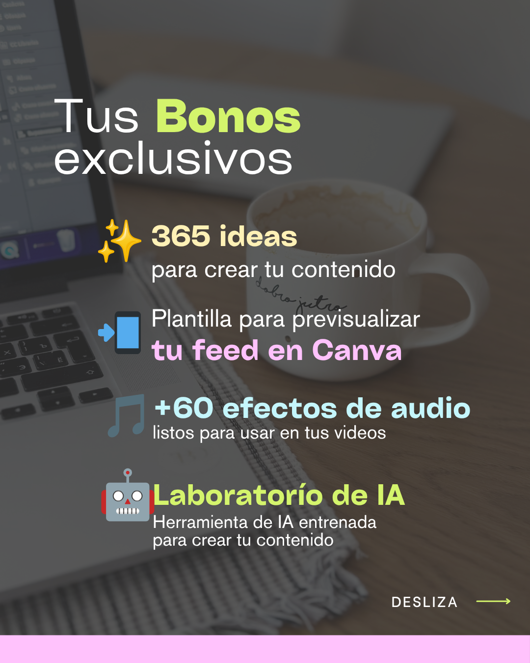 Bootcamp de Canva Julio