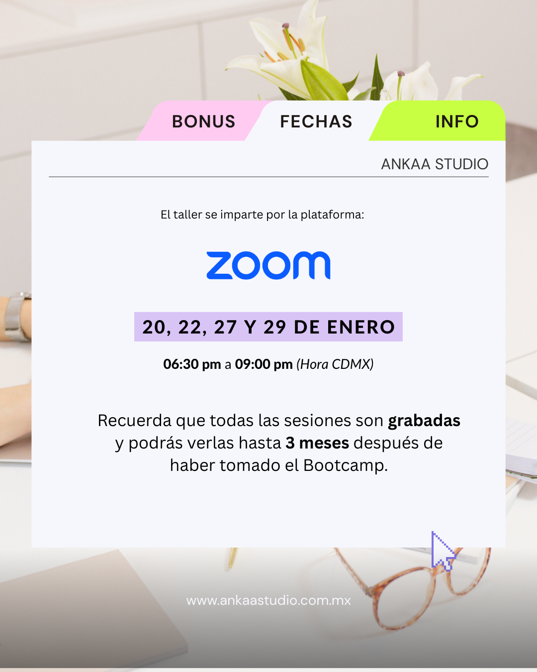 Curso de CANVA para emprendedores
