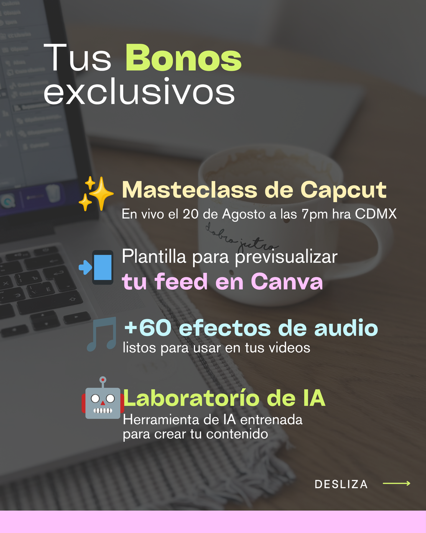 Bootcamp de Canva Agosto