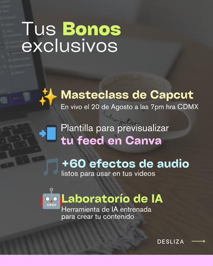 Bootcamp de Canva Agosto